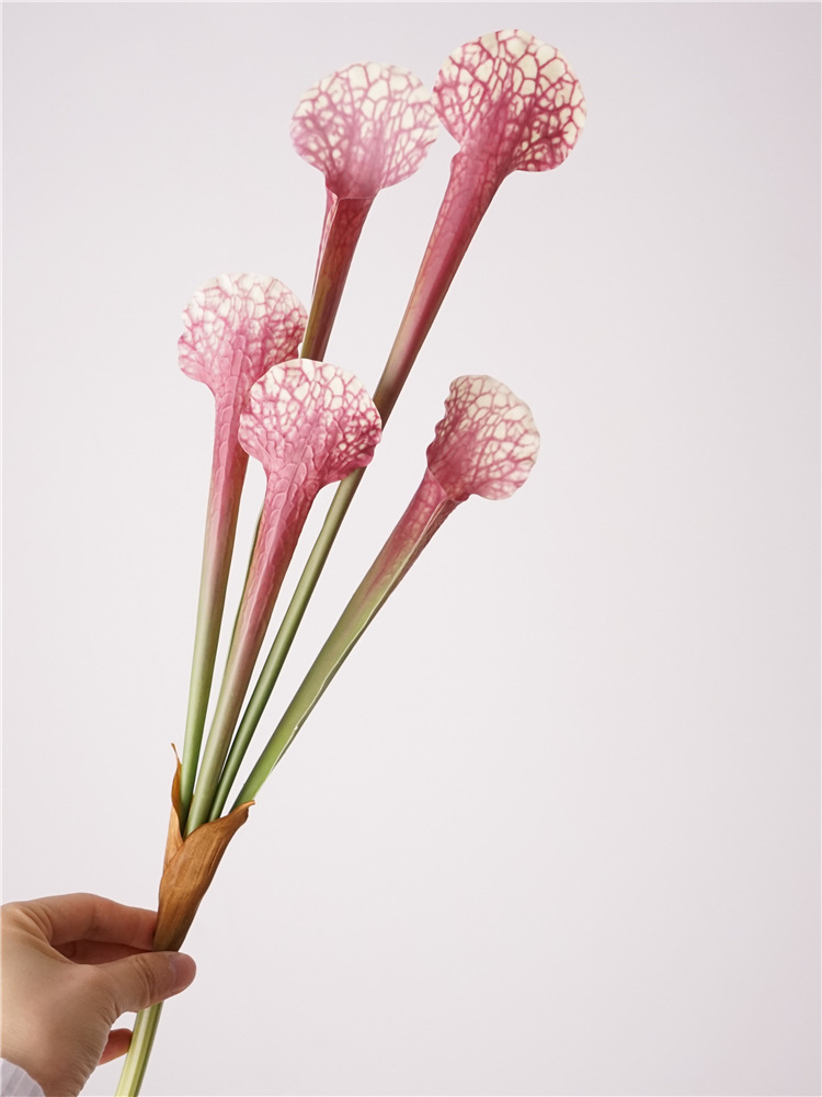 瓶子草高级感is简约风仿真花植物配件婚礼装饰批发花材花艺装饰详情6