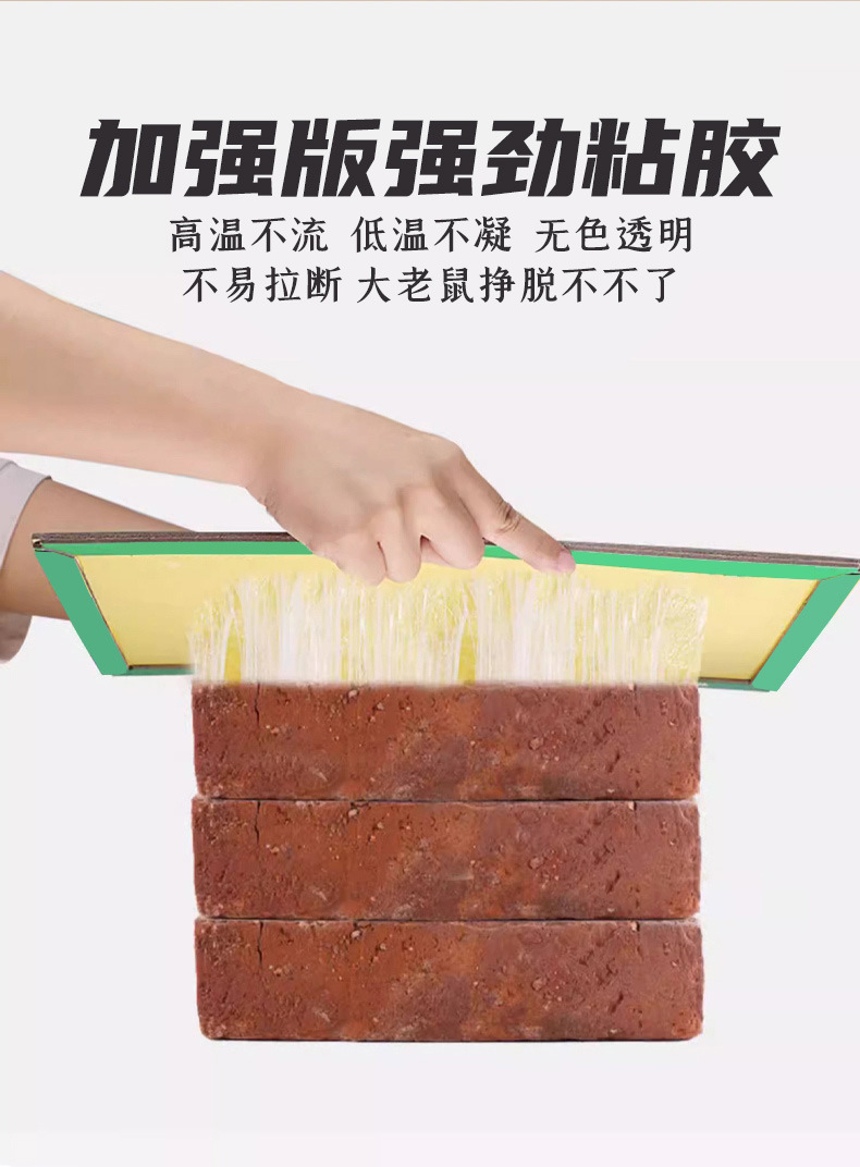 粘鼠板英文外贸粘鼠毯粘蝇纸源头工厂大货批发大量现货工厂直发详情1