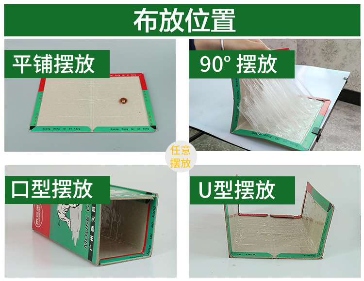 泰安康粘鼠板强力胶水加大加厚家用大老鼠粘鼠捕鼠贴老鼠专用广州详情5