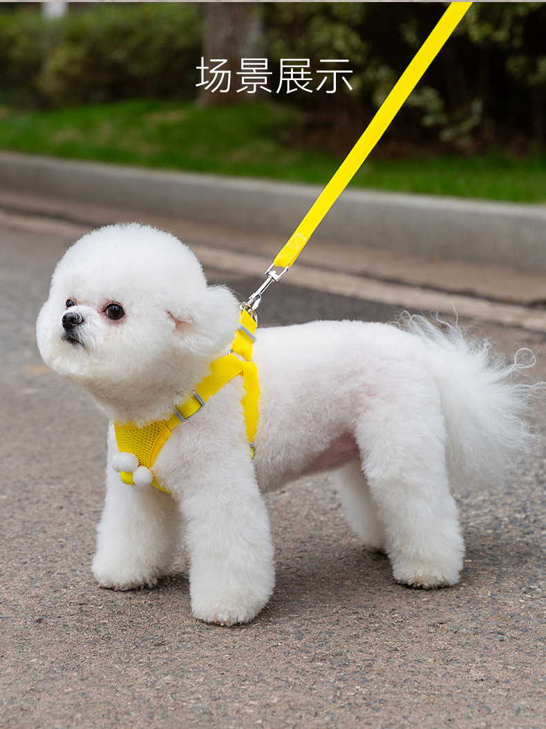 小狗狗牵引绳背心式遛狗绳子泰迪比熊小型犬胸背带外出狗链子宠物详情11
