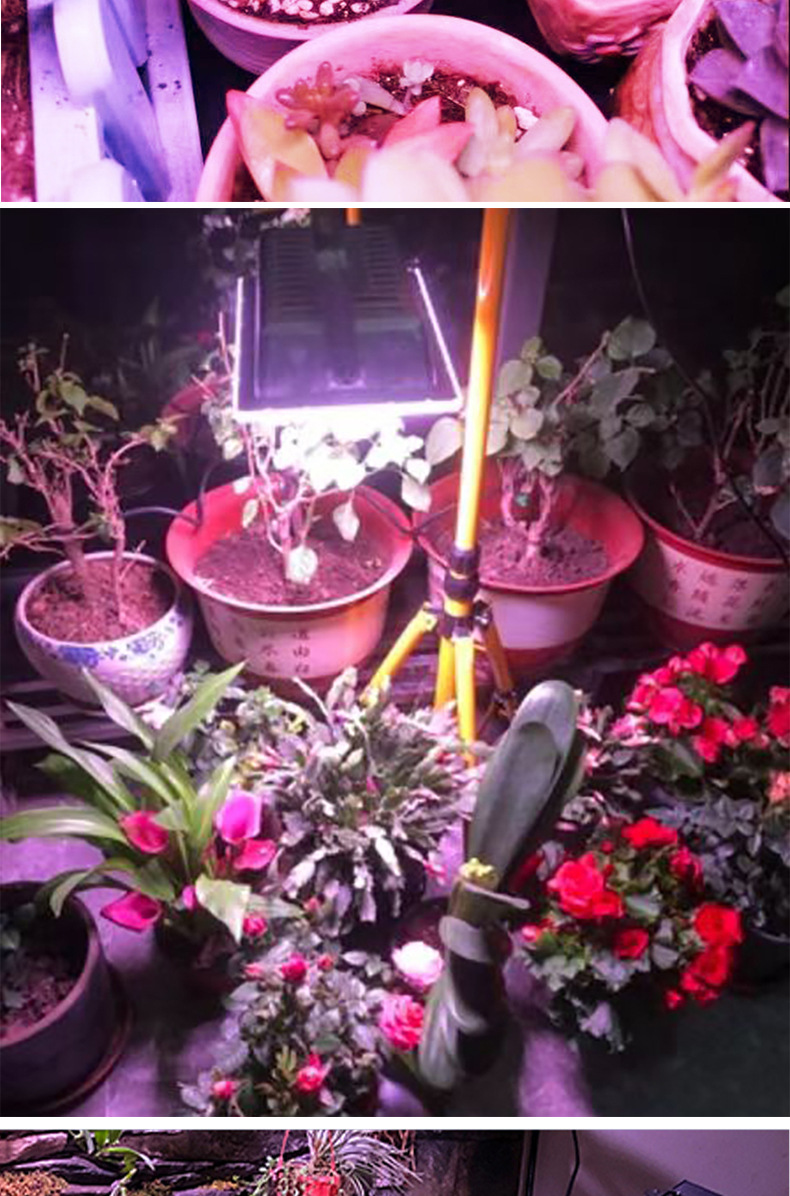 Solar floodlights, indoor greenhouse vegetable and succulent led outdoor full-spectrum plant growth lights, supplementary lighting lights pic 15