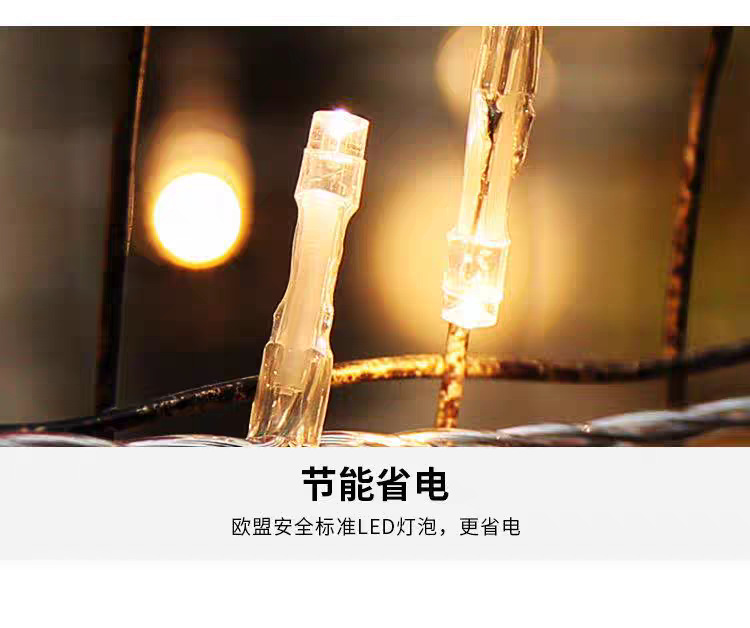 新年跨境新款led灯串满天星带闪功能防水电池盒裸灯圣诞节日户外详情7