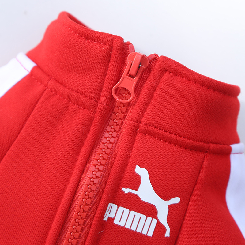 Ropa para mascotas otoño invierno calor marca de moda sudaderas letras fardoubi oso perro gato pequeño medio grande perro suministros pic 6