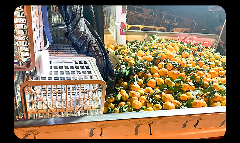 Camping lamp, ultra-long battery life rechargeable lighting lamp, ultra-bright outdoor camping canopy tent lamp, portable street stall night market lamp pic 8