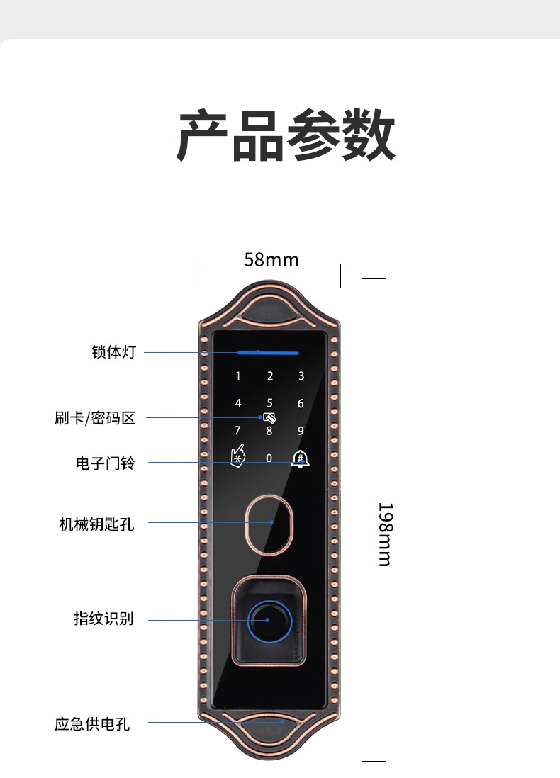 Bull head lock, electronic lock, anti-theft door, courtyard fingerprint lock, apartment iron gate, graffiti all smart lock, old-fashioned combination lock pic 24