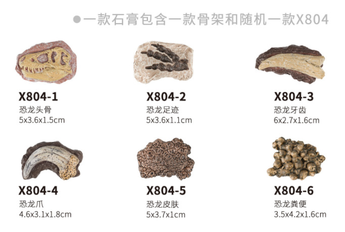 热卖石膏考古挖掘仿真恐龙骨架六款DIY拆装拼装益智动手认知模型详情4