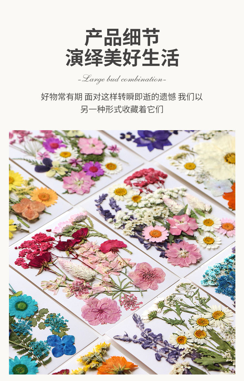 新款干花压花材料包贴脸装饰眼角写真花瓣diy滴胶相框植物标本详情9