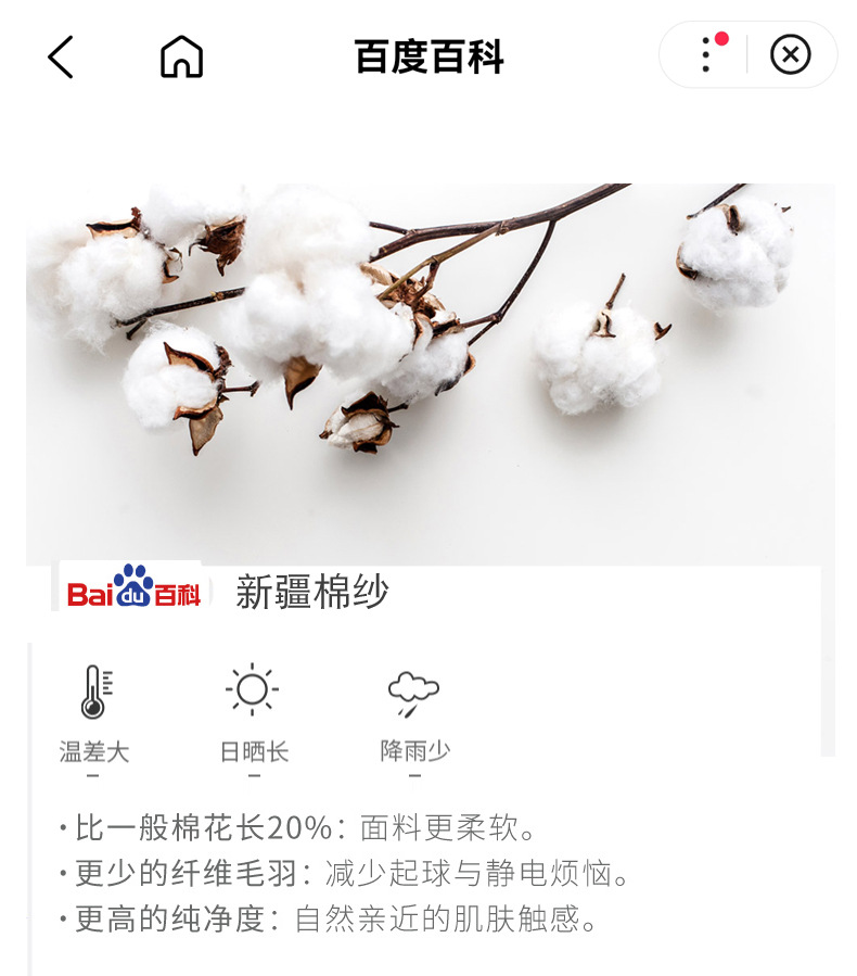 中老年人内裤男纯棉高腰大码平角裤老人宽松全棉短裤爸爸肥佬裤头详情10