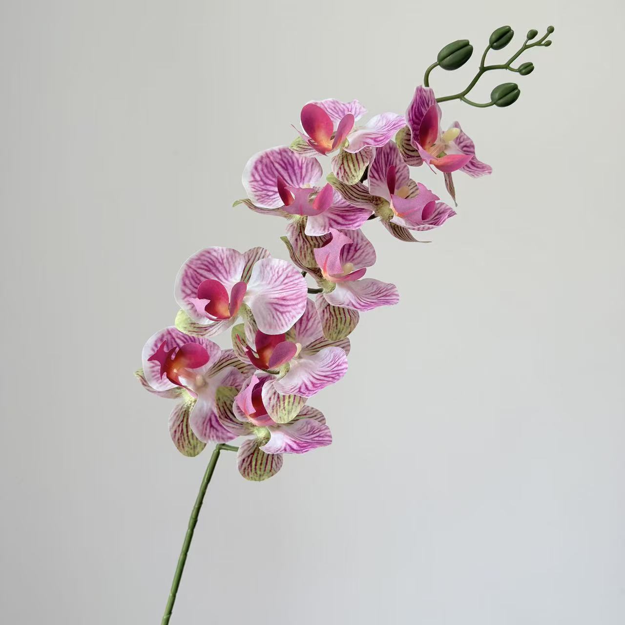 9头蝴蝶兰仿真花手感高级感逼真假花兰花艺场景布置酒店婚庆用花详情38