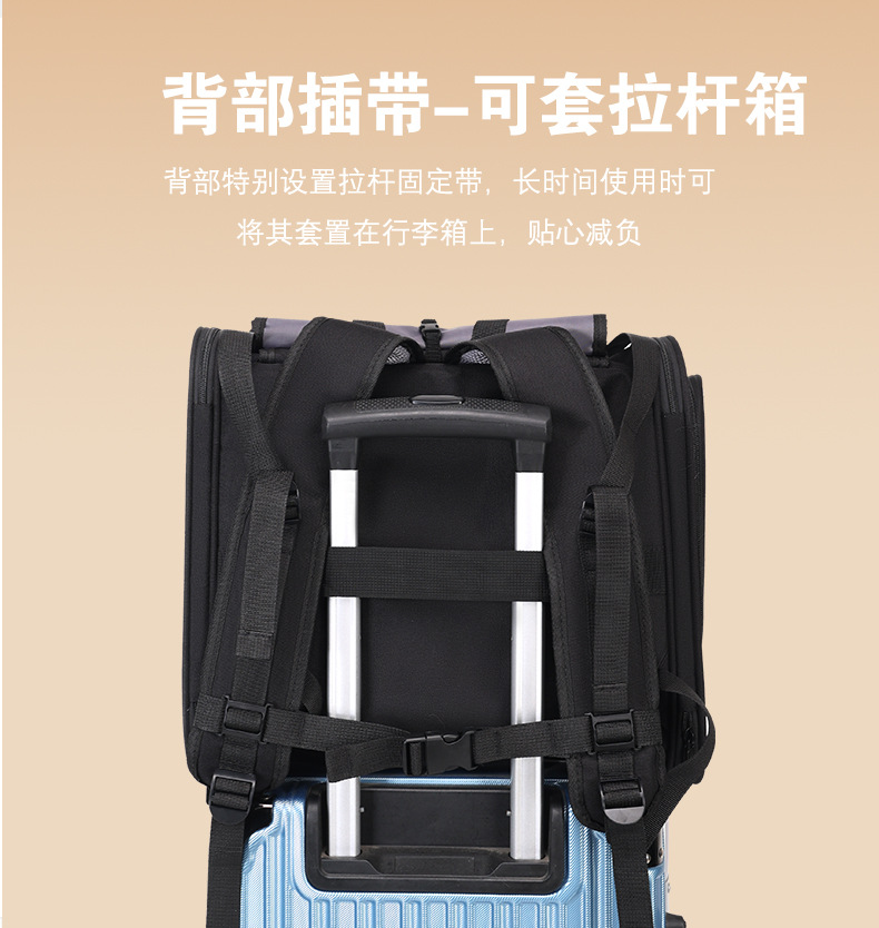 Factory direct supply cat bags for portable outings, large-capacity space capsule, double-shoulder hand-carry, breathable Japanese and Korean style pet bags pic 11