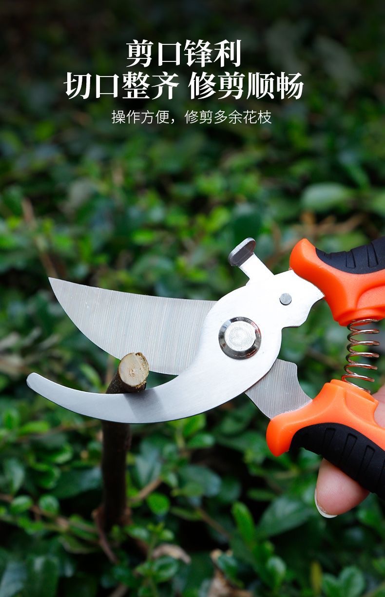 园艺剪修枝剪省力修剪树枝果树园林花卉专用详情7