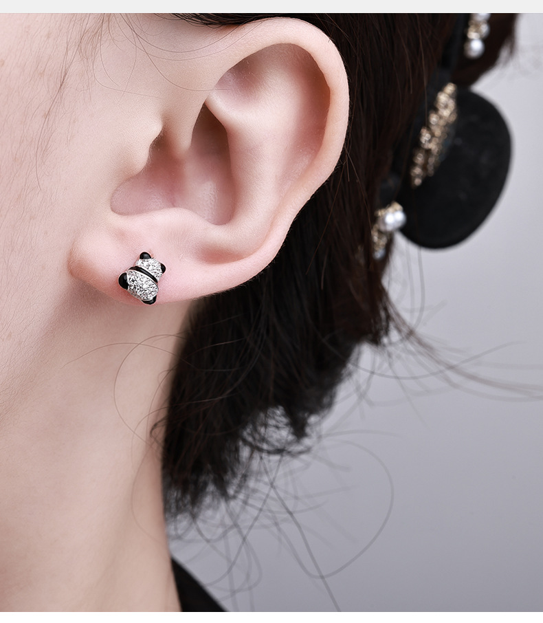 Zhuoheng Select AliExpress 2026 Spring Collection Earrings, European and American cross-border S925 silver inset hip-hop style stud earrings, high-end and light luxury earrings pic 5