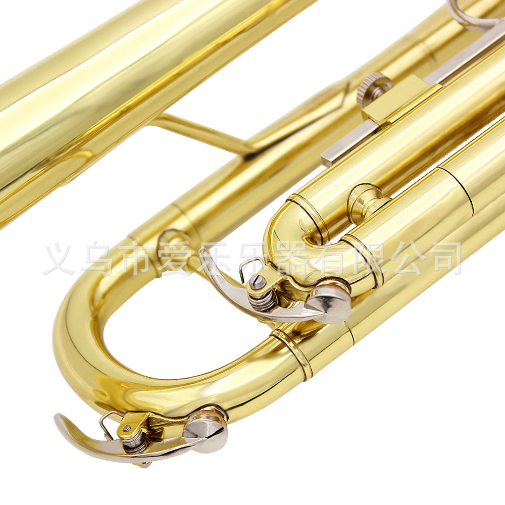 Student and adult performance of Trumpet, a brass trumpet in B-flat pic 20