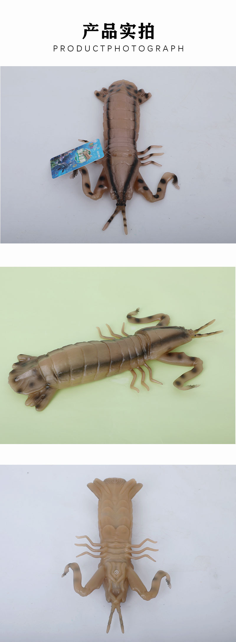 皮皮虾动物模型儿童认知发声减压学生玩具礼品 仿真皮皮虾玩具模详情4