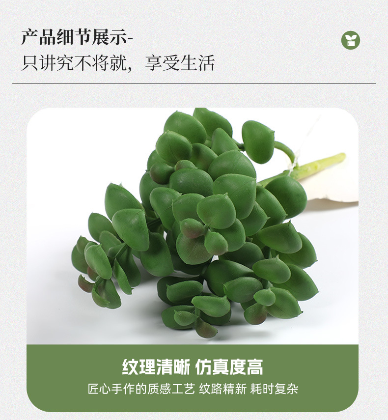 新款仿真塑料多肉手感插花多肉园艺装饰多肉绿植多头组合批发详情7