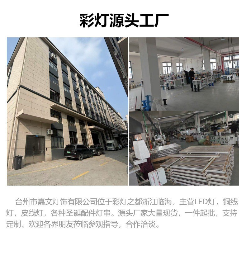 LED太阳能铜线灯八功能灯串庭院装饰户外灯串圣诞节日跨境彩灯串详情1