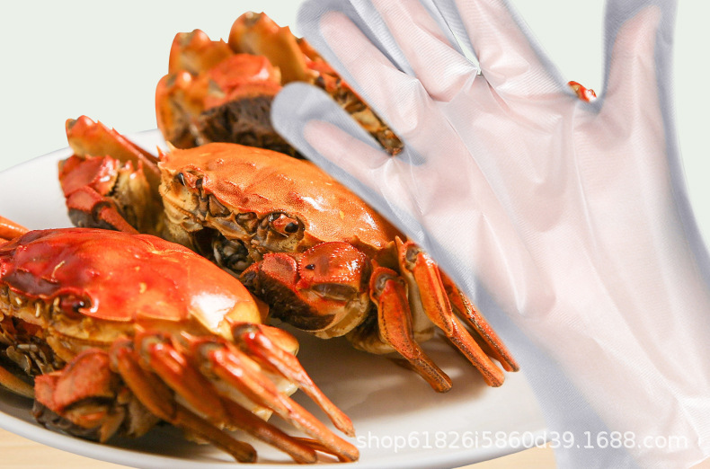 工厂热销翔裕一次性CPE手套50只装餐厅厨房食品级耐拉扯不易破详情2