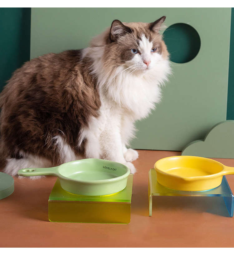 Wow Customized Korean BD flat pan, cat and dog pet bowl, ceramic slow food bowl, anti-tipping and non-black chin cat food basin pic 14