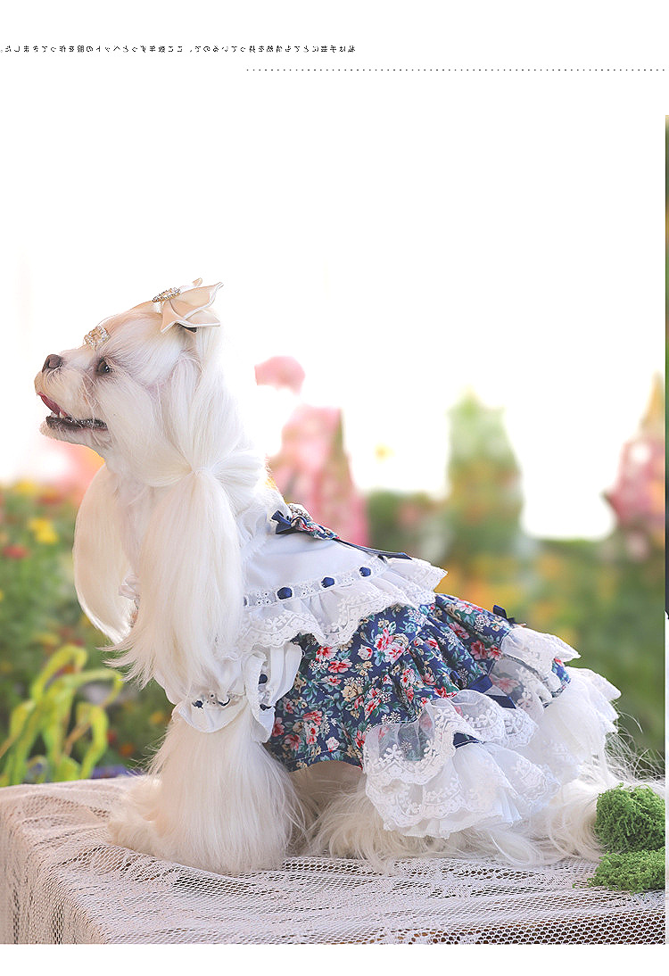 安贝妮高级感宠物衣服高定狗狗碎花泰迪小型犬茶话会小狗公主裙详情23