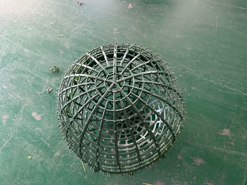 QQ图片20240724194925_副本