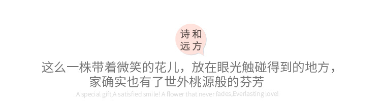假叶子大型婚庆花草波斯草绿植 假树叶绿色装饰墙面蕨类仿真植物详情11