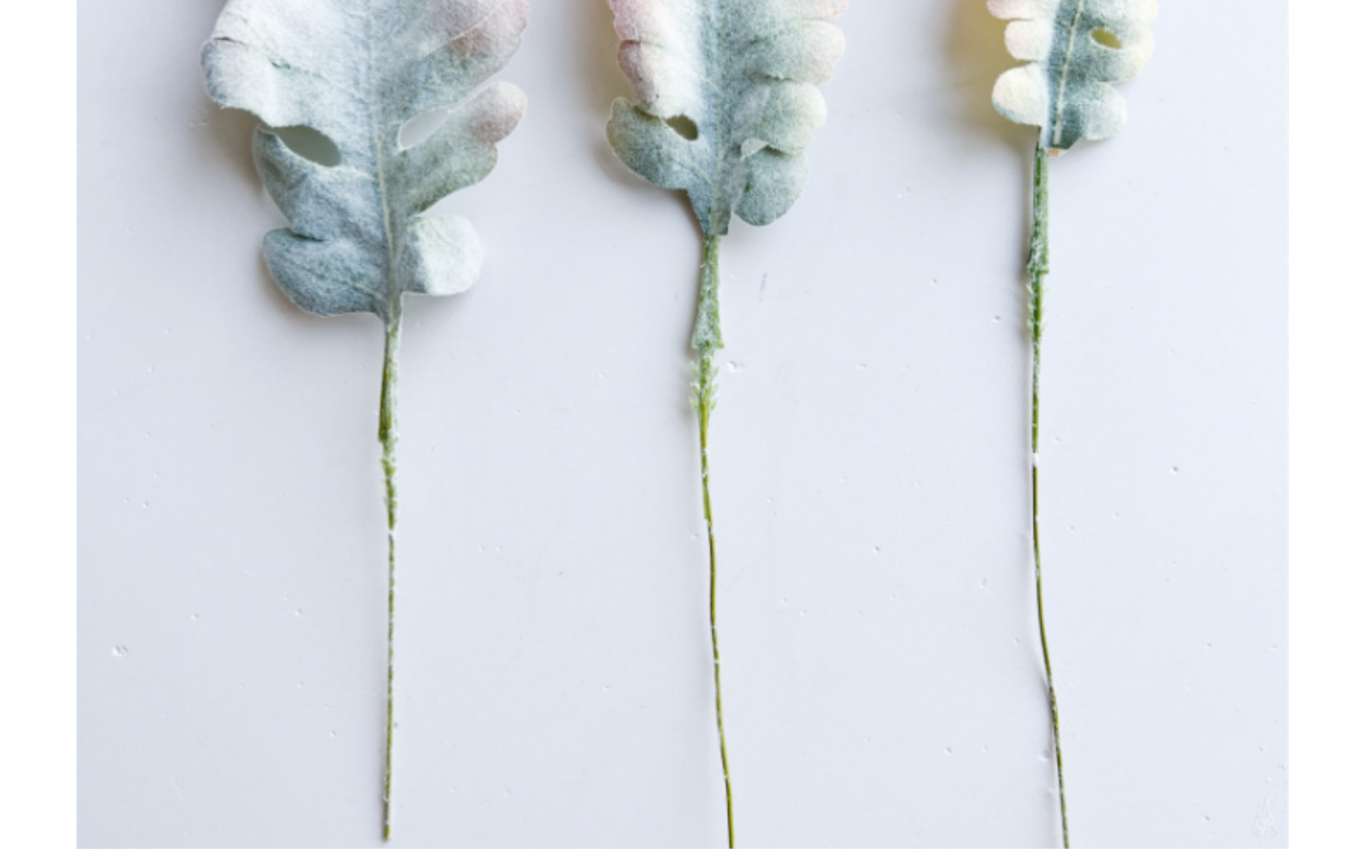 欧式银叶菊兔耳叶叶片配件情人节玫瑰假花餐桌家居绿植软装宠物园艺干花详情19