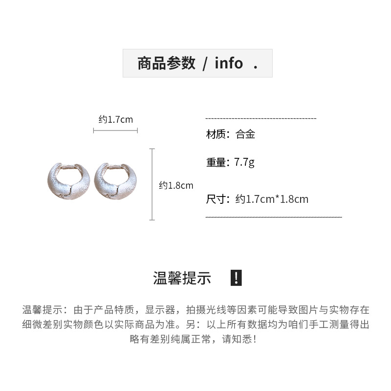 欧美跨境拉丝哑光椭圆耳环时尚潮流百搭耳扣简约高级感耳饰批发女详情2