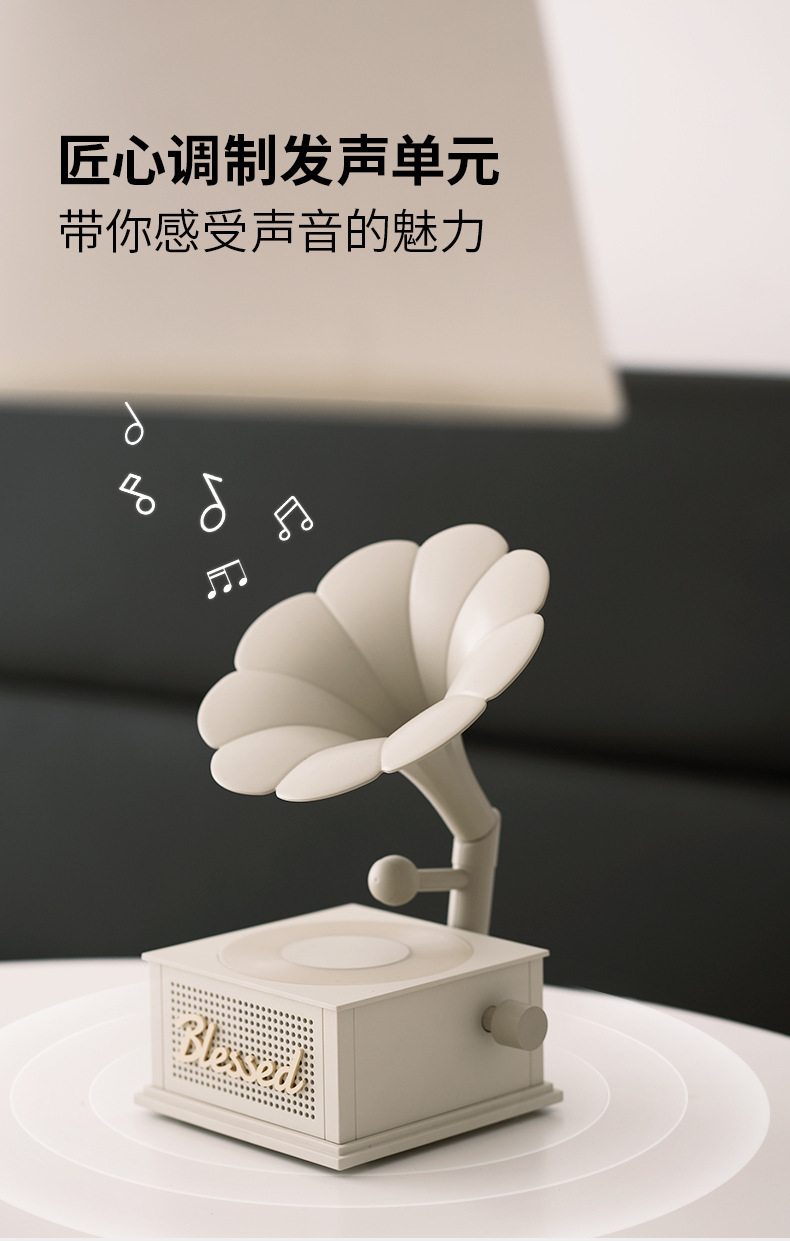 新款跨境蓝牙音箱便携式户外蓝牙音响无线K歌带话筒麦克风家庭ktv详情26