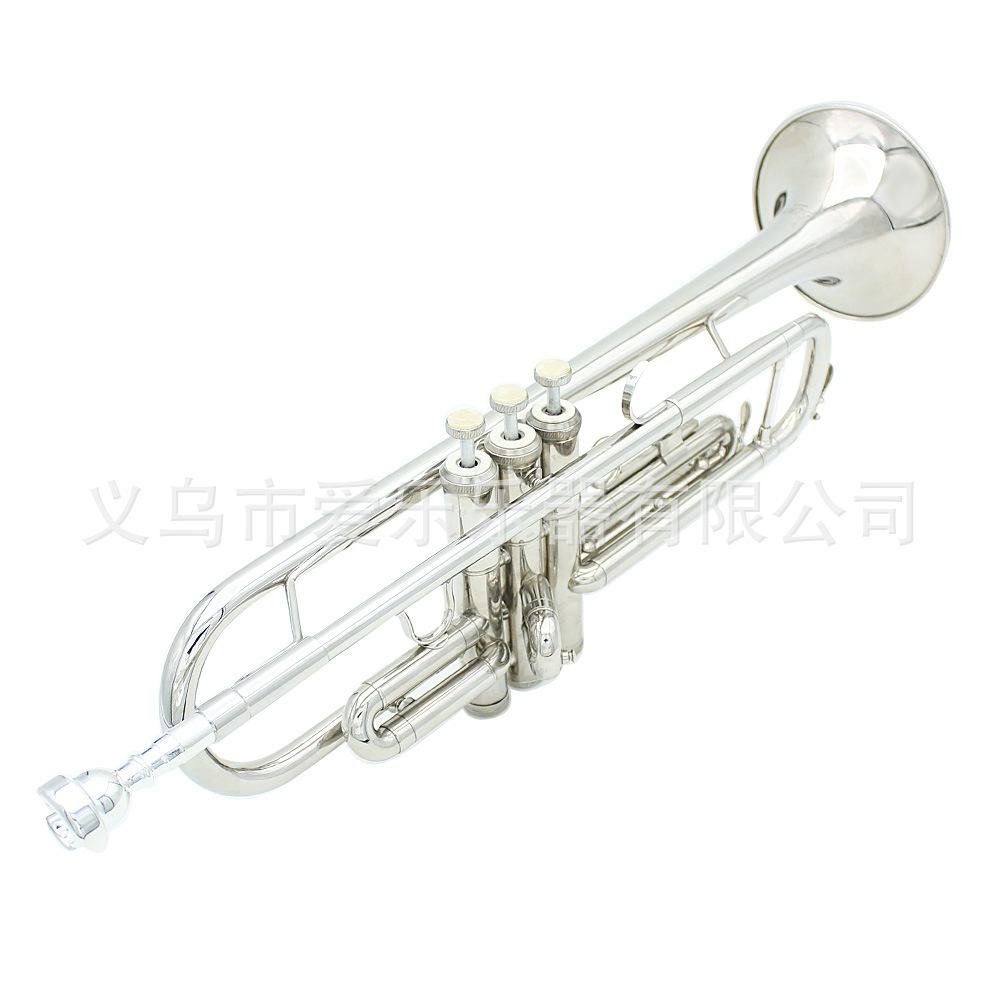 Student and adult performance of Trumpet, a brass trumpet in B-flat pic 7