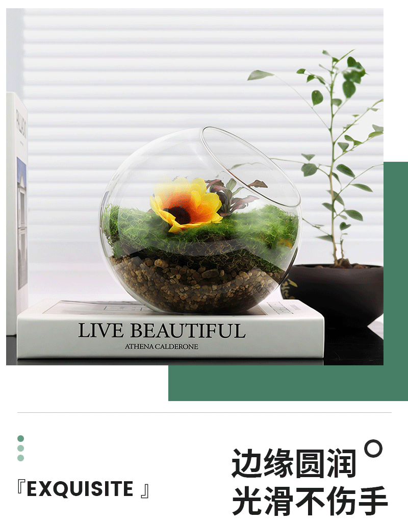 Micro-landscape ecological bottle, transparent glass hanging succulent plant moss hanging bottle, diy handcrafted green plant landscape vase pic 4