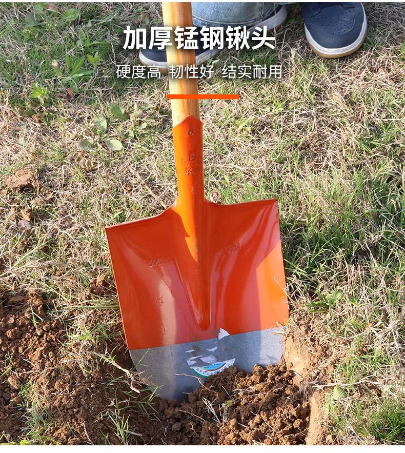 厂家批发铁铁铲户外挖土神器铁锨农具种菜防汛园艺农用工具铁锹详情6