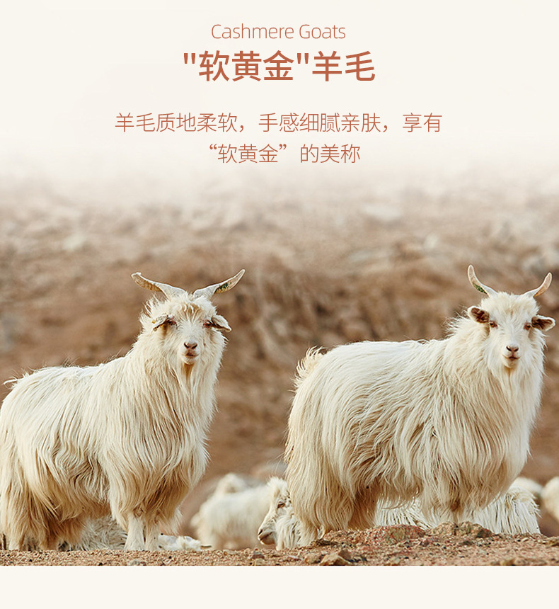 羊绒羊毛小坑条含真羊绒秋冬保暖长袖长裤卫裤面料详情3