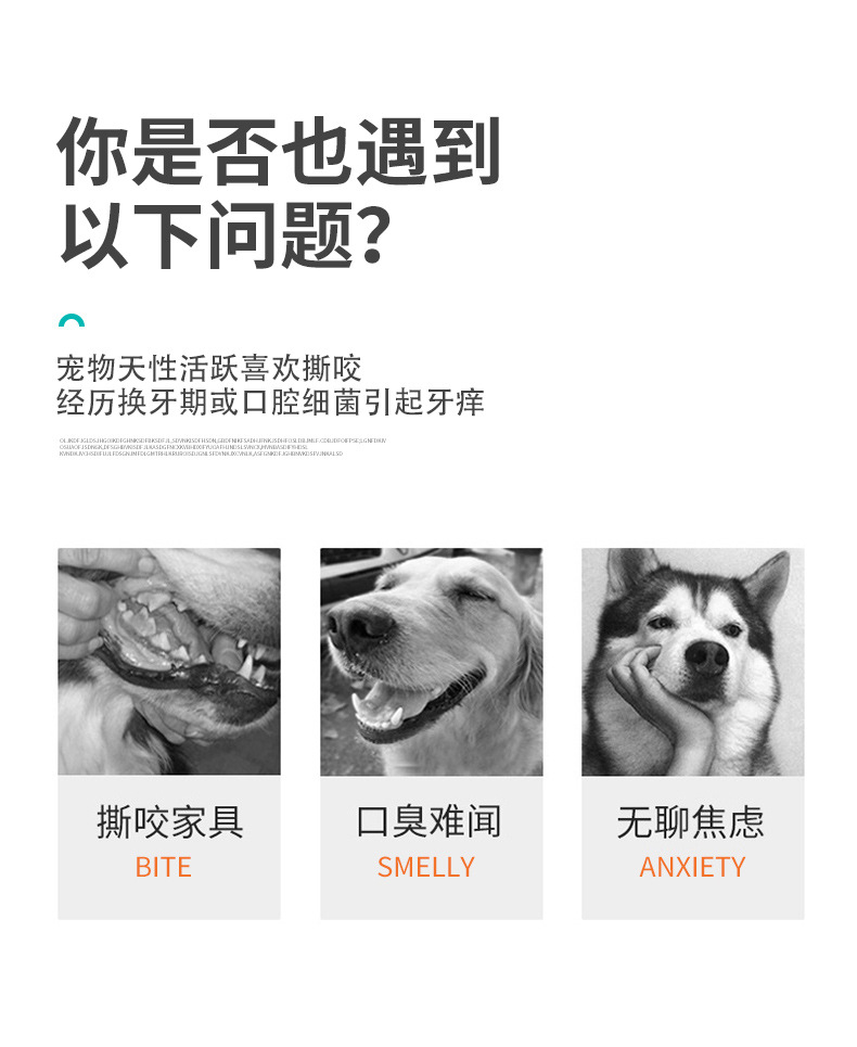 Pet toys, dog teething sticks, cat chews, teething balls, macaron toys, pet supplies manufacturer wholesale pic 3