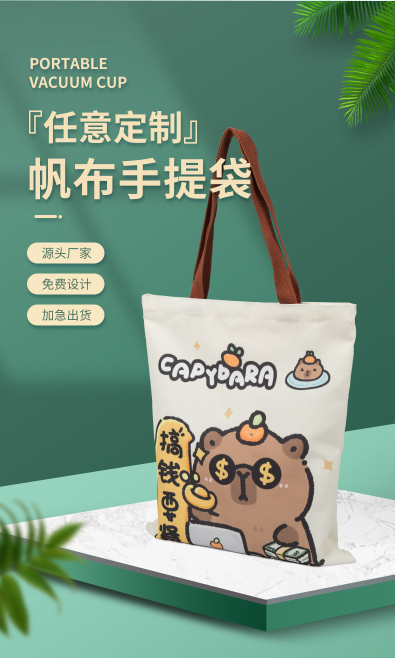 Customized canvas bags, hand-held non-woven bags, large-capacity shopping bags for students, best-selling items on Xiaohongshu, in an ins style pic 5