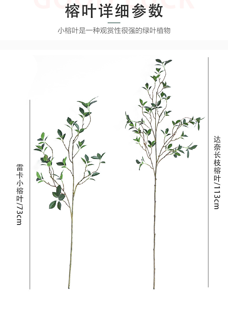 仿真绿植米兰叶榕树叶小清新家居茶几装饰人造假花办公园艺摆件榕叶绿植绿植装饰品详情15