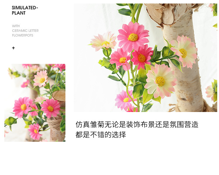 小雏菊---副本_12.jpg