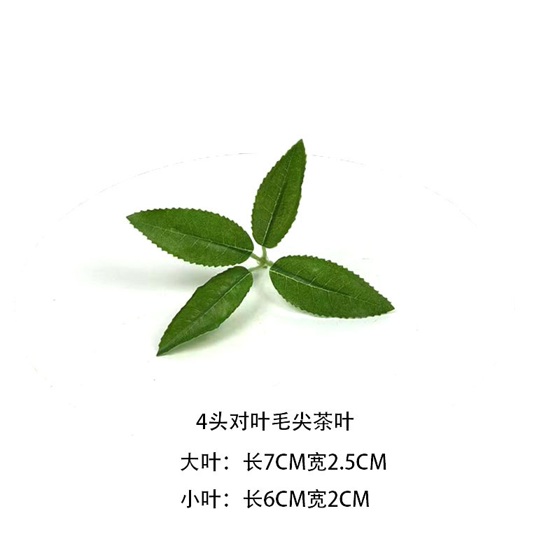 仿真茶叶绿植安吉白茶毛尖茶红绿茶单片称重工程DIY装饰摆设批发详情5