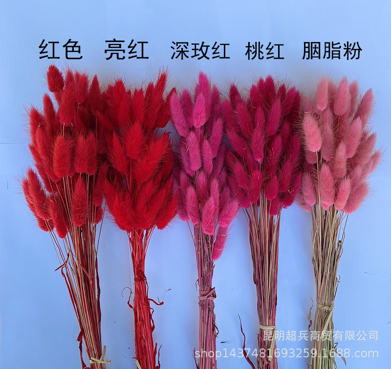 QQ图片20220105161056.jpg