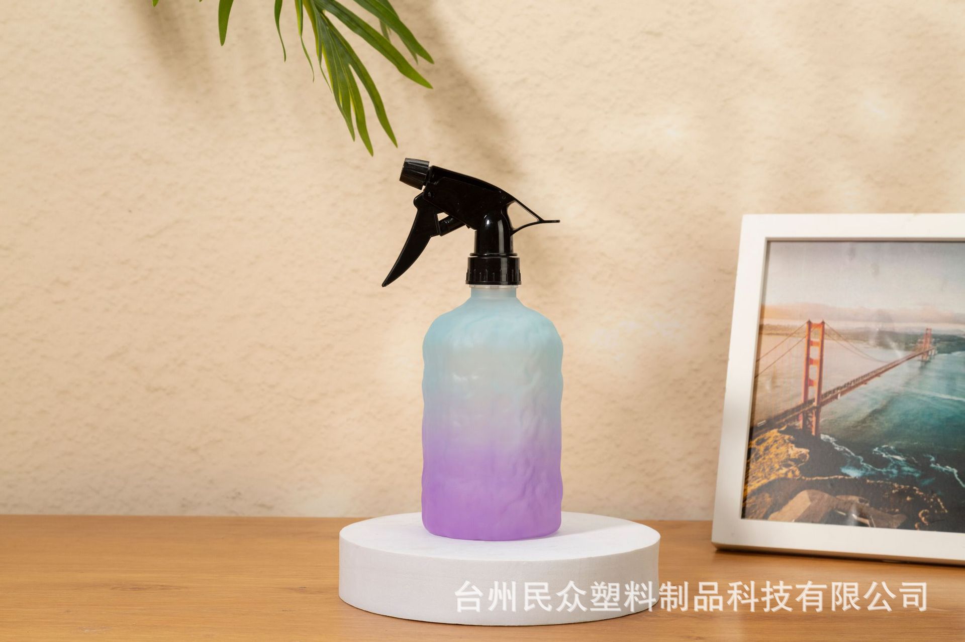 跨境渐变喷壶家用酒精消毒喷雾瓶园艺养花浇水壶美发小容量喷雾器详情6