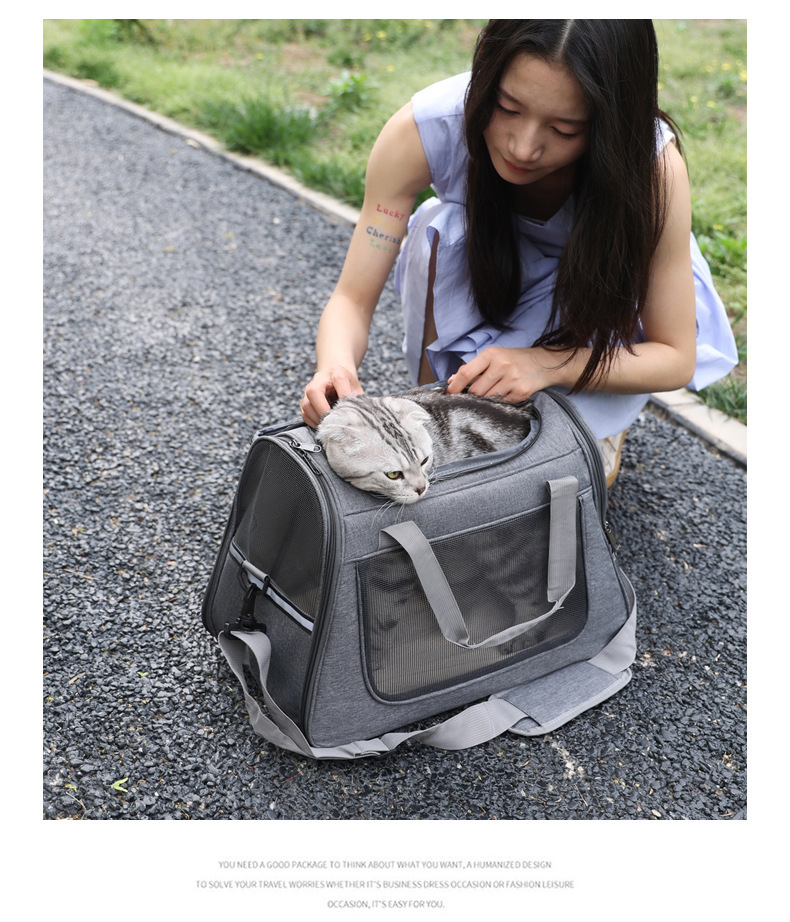 Bolsa para mascotas gran espacio caja de aviación portátil para mascotas al aire libre transpirable bolsa de gato portátil para salir mochila para mascotas pequeñas pic 44