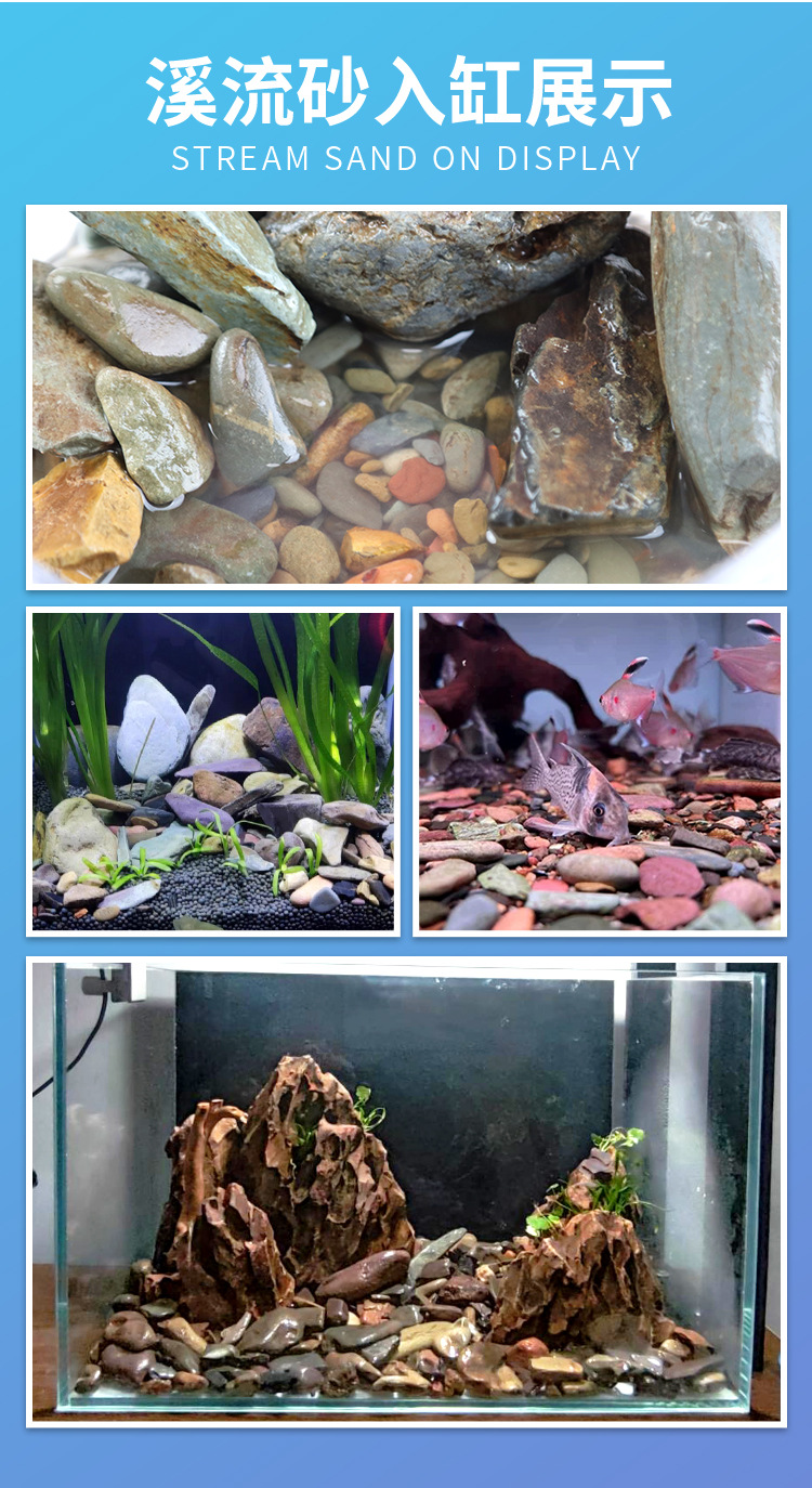 原生鱼缸造景底砂溪流石水草龟缸雷龙鱼草南美缸装饰铺底  溪流砂详情8