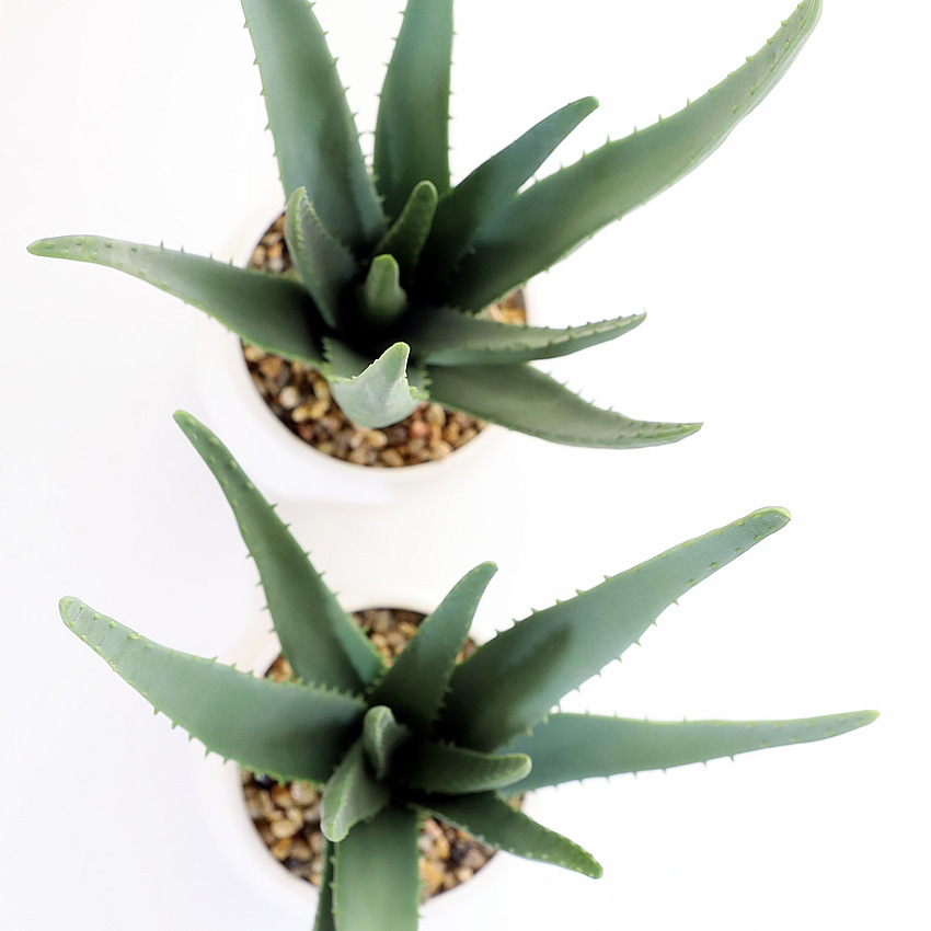 Simulated soft rubber aloe vera artificial flower set, white ceramic potted green plants, succulent plant decorative ornaments, cross-border pet gardening pic 3