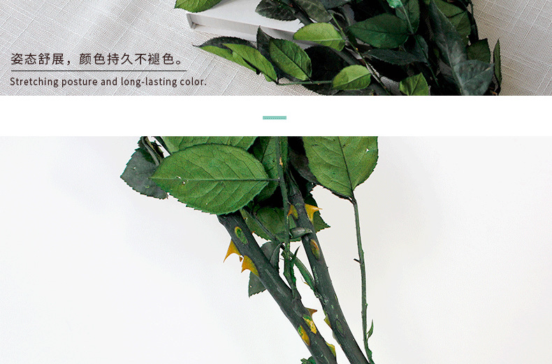 Eternal rose leaves, rose branches, prince rose branches, green long stems, diy flower arrangement materials pic 6