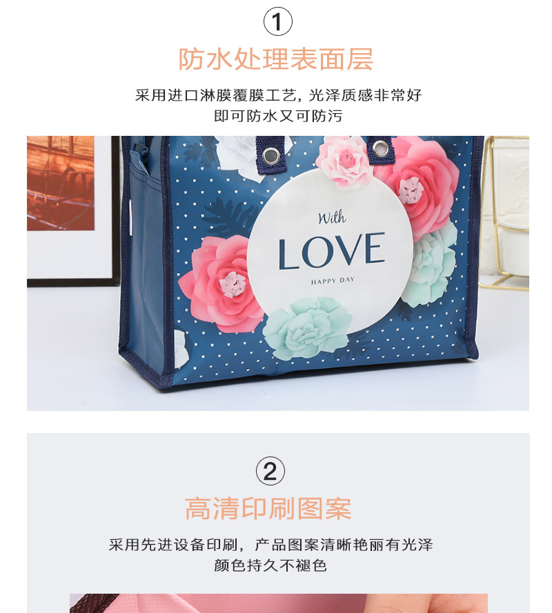 厂家直供PP无纺布袋 创意家居用品手提便当袋 化妆品收纳袋中号环保耐用详情17