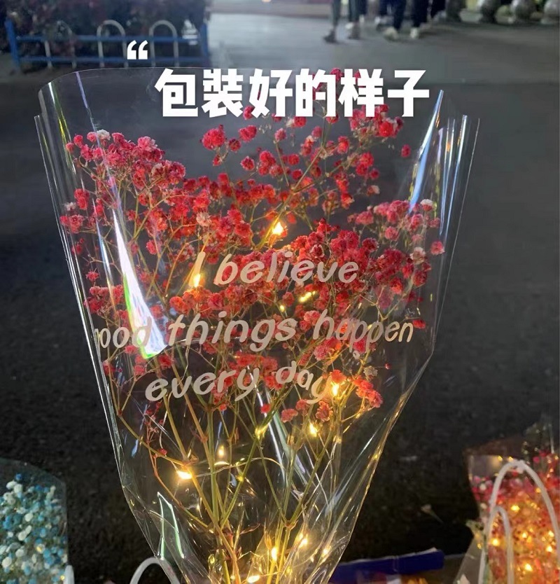 led一米包花小彩灯闪灯 浪漫红色装饰品灯串紫色节日铜丝串灯现货详情4