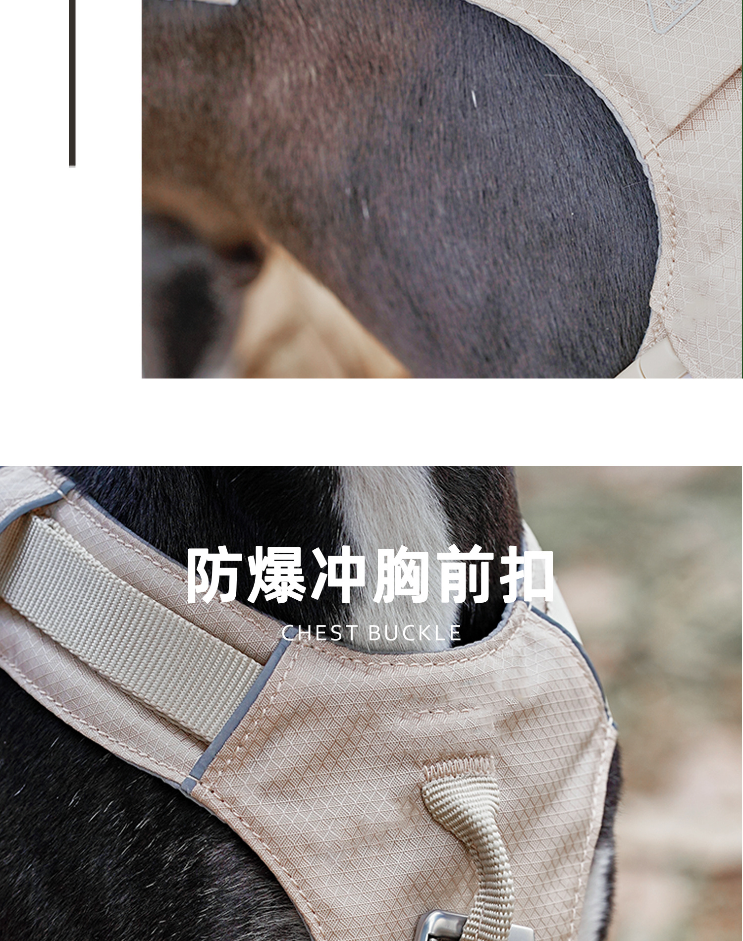 ZOOLAND狗狗胸背牵引绳遛幼小中大型犬泰迪柯基比熊边牧博美链子详情16