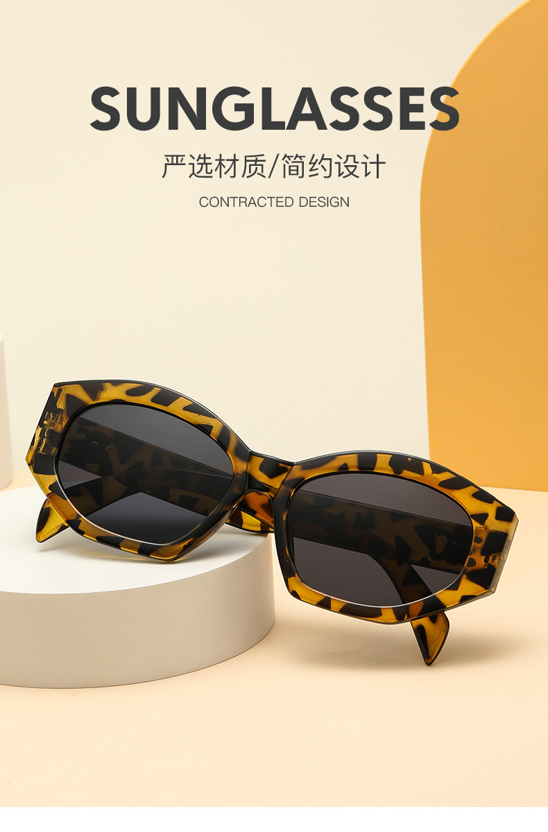 Retro triumph snow sunglasses for women, a new type of high-end oval angular sunglasses for sun protection and shading pic 20