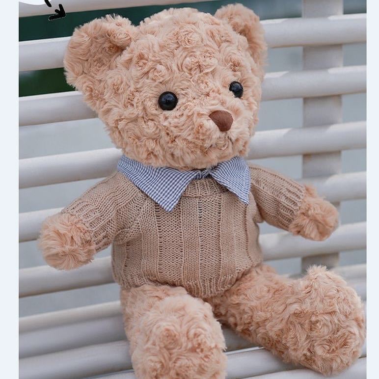 网红泰迪熊毛绒玩具公仔玩偶抱抱小熊情人节礼物网红花束衬衣小熊详情17