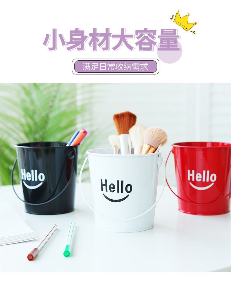 铁皮小提桶金属铁艺花桶收纳小桶阳台绿植多肉种植套盆桌面装饰桶详情2