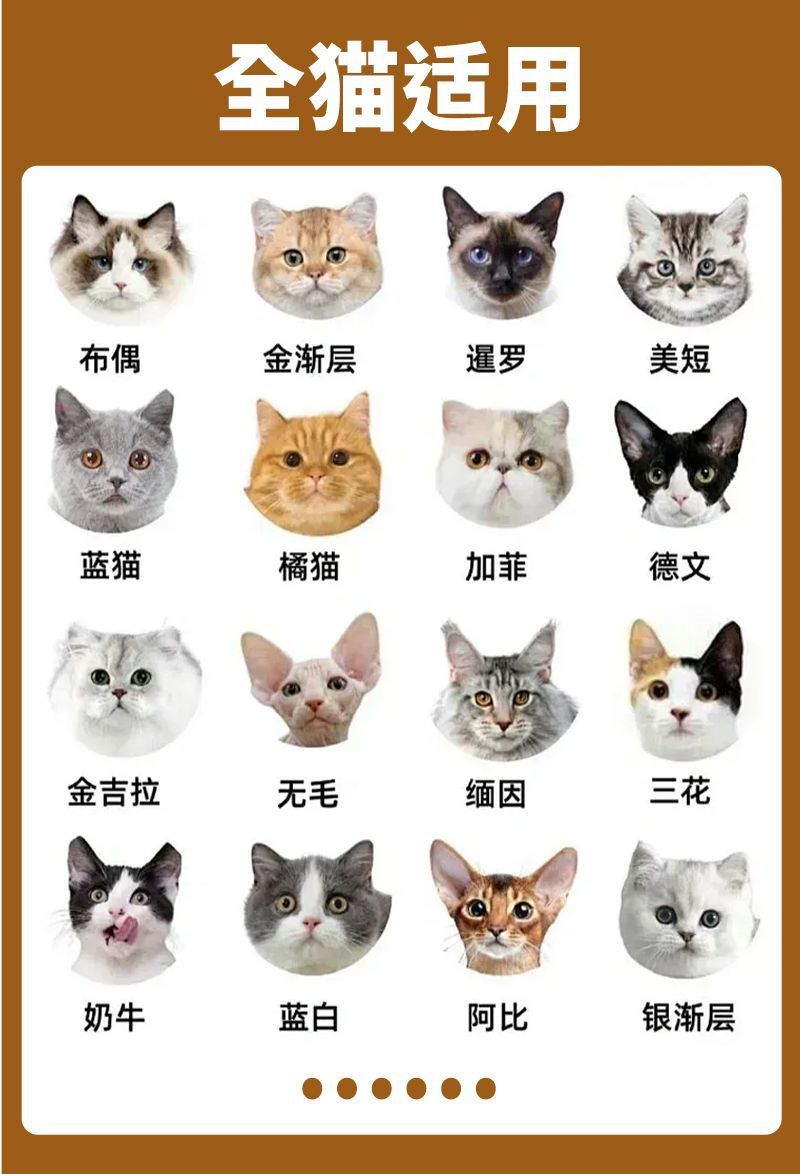 贝卓肉绒夹心猫粮流浪猫猫咪成猫幼猫通用型增肥发腮批发高营养详情12